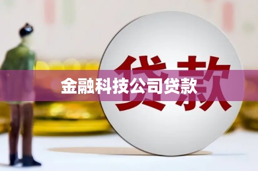 林园金融科技公司贷款