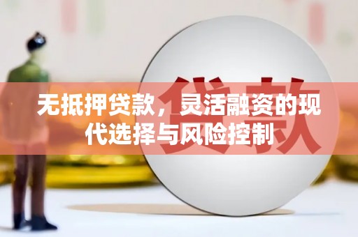 林园无抵押贷款，灵活融资的现代选择与风险控制