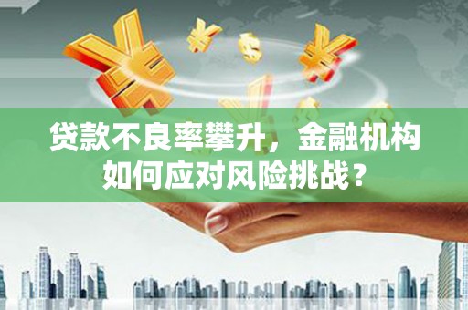 林园贷款不良率攀升，金融机构如何应对风险挑战？