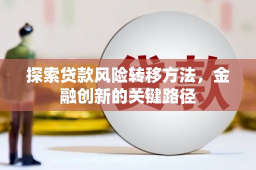 林园探索贷款风险转移方法，金融创新的关键路径