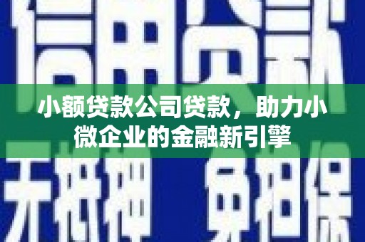 林园小额贷款公司贷款，助力小微企业的金融新引擎