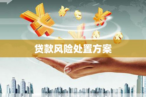 林园贷款风险处置方案