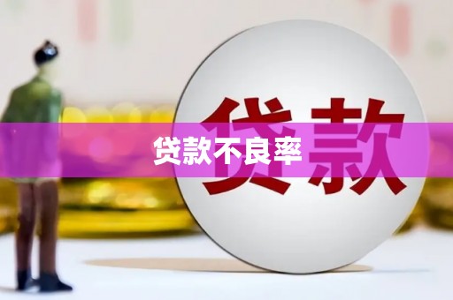 林园贷款不良率