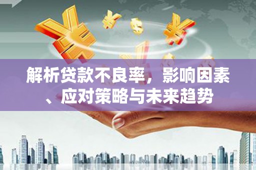林园解析贷款不良率，影响因素、应对策略与未来趋势