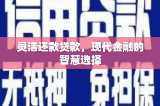 林园灵活还款贷款，现代金融的智慧选择