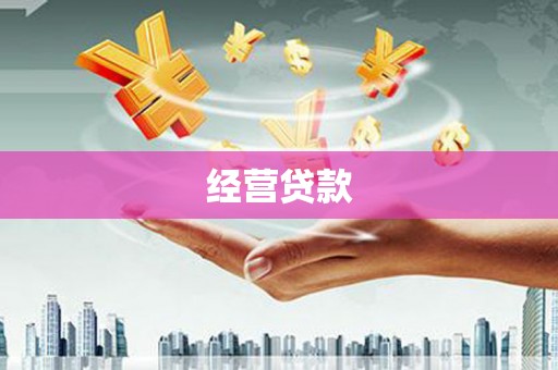 林园经营贷款