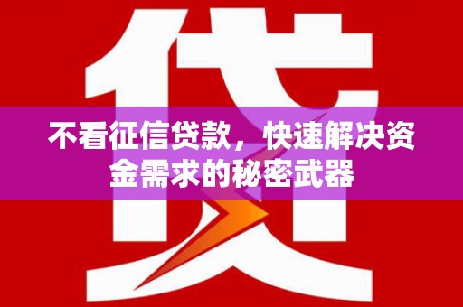 林园不看征信贷款，快速解决资金需求的秘密武器