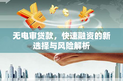林园无电审贷款，快速融资的新选择与风险解析