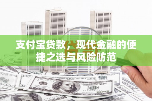 林园支付宝贷款，现代金融的便捷之选与风险防范