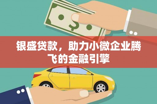 林园银盛贷款，助力小微企业腾飞的金融引擎