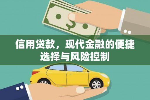 林园信用贷款，现代金融的便捷选择与风险控制