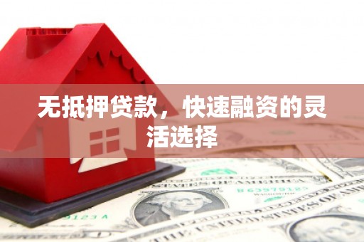林园无抵押贷款，快速融资的灵活选择