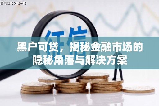 林园黑户可贷，揭秘金融市场的隐秘角落与解决方案