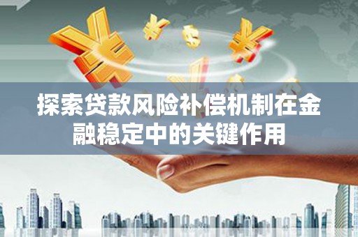 林园探索贷款风险补偿机制在金融稳定中的关键作用