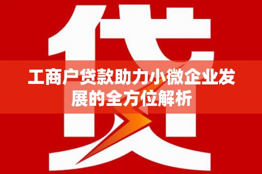 林园工商户贷款助力小微企业发展的全方位解析