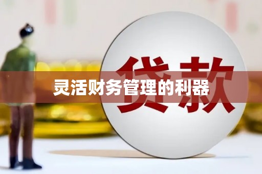 林园灵活财务管理的利器