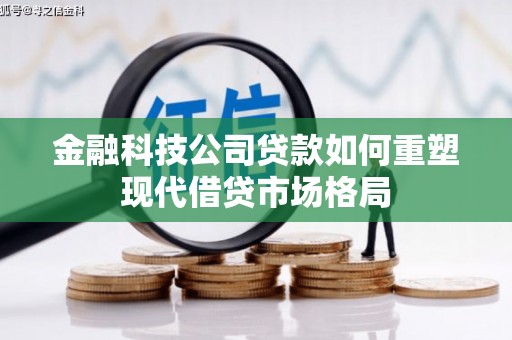 林园金融科技公司贷款如何重塑现代借贷市场格局