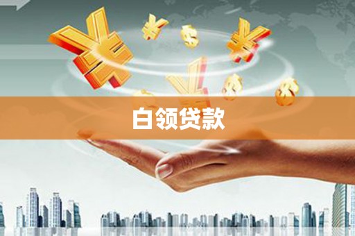 林园白领贷款
