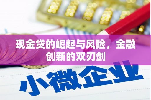 林园现金贷的崛起与风险，金融创新的双刃剑