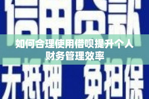 林园如何合理使用借呗提升个人财务管理效率