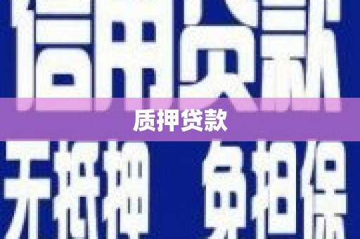 林园质押贷款