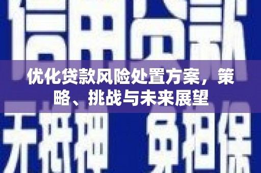 林园优化贷款风险处置方案，策略、挑战与未来展望