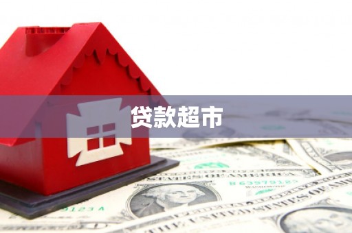 林园贷款超市