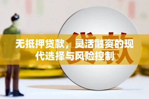 林园无抵押贷款，灵活融资的现代选择与风险控制