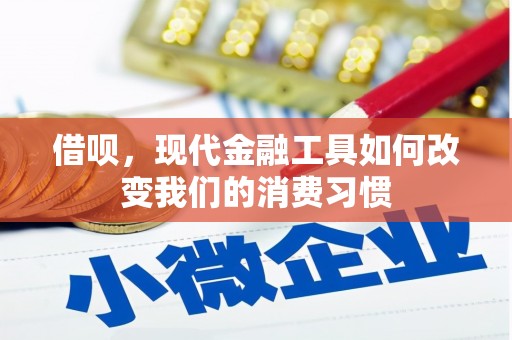 林园借呗，现代金融工具如何改变我们的消费习惯