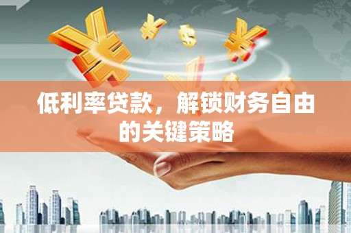 林园低利率贷款，解锁财务自由的关键策略