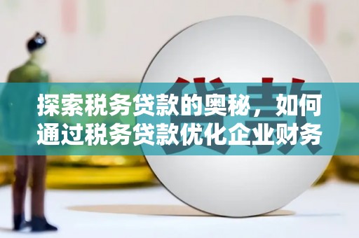 林园探索税务贷款的奥秘，如何通过税务贷款优化企业财务