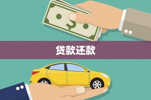 林园贷款还款
