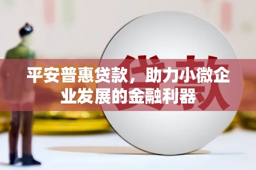 林园平安普惠贷款，助力小微企业发展的金融利器