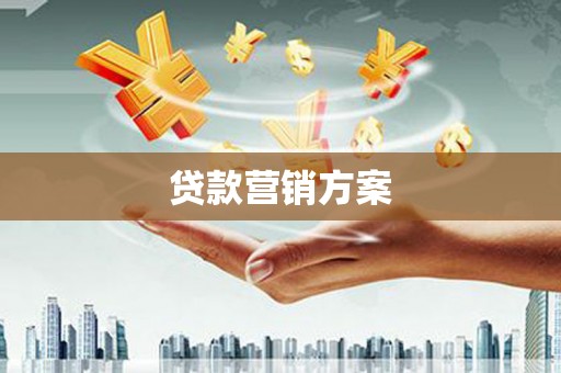林园贷款营销方案