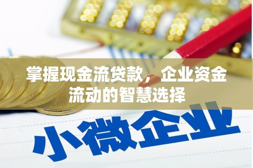 林园掌握现金流贷款，企业资金流动的智慧选择