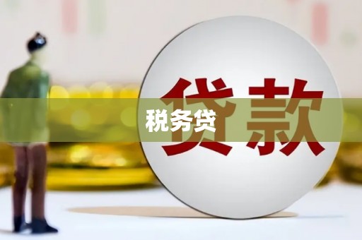 林园税务贷