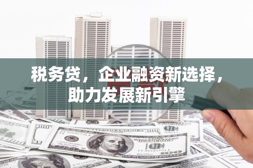林园税务贷，企业融资新选择，助力发展新引擎