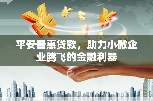 林园平安普惠贷款，助力小微企业腾飞的金融利器