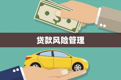 林园贷款风险管理