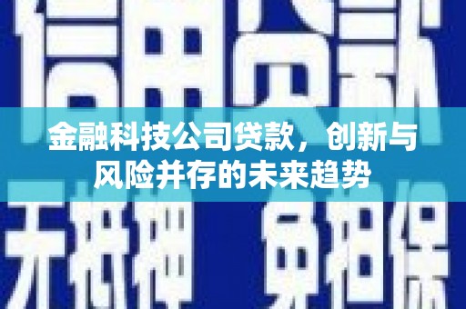 林园金融科技公司贷款，创新与风险并存的未来趋势