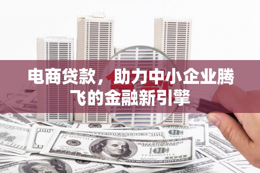 林园电商贷款，助力中小企业腾飞的金融新引擎