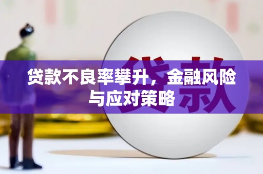 林园贷款不良率攀升，金融风险与应对策略