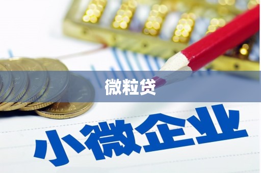 林园微粒贷