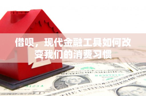 林园借呗，现代金融工具如何改变我们的消费习惯
