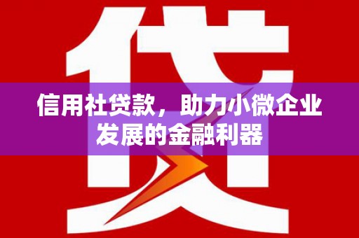 林园信用社贷款，助力小微企业发展的金融利器
