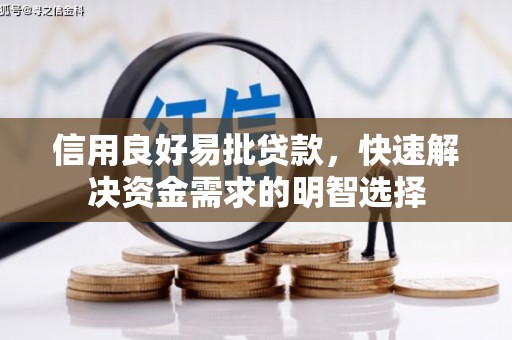林园信用良好易批贷款，快速解决资金需求的明智选择