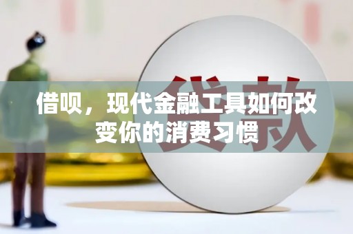林园借呗，现代金融工具如何改变你的消费习惯