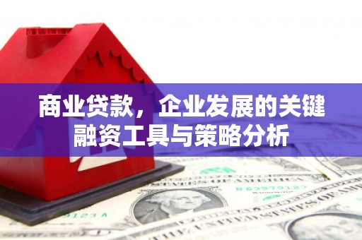 林园商业贷款，企业发展的关键融资工具与策略分析