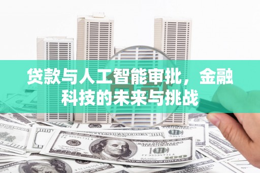林园贷款与人工智能审批，金融科技的未来与挑战