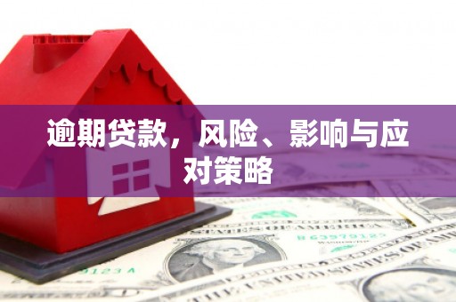 林园逾期贷款，风险、影响与应对策略